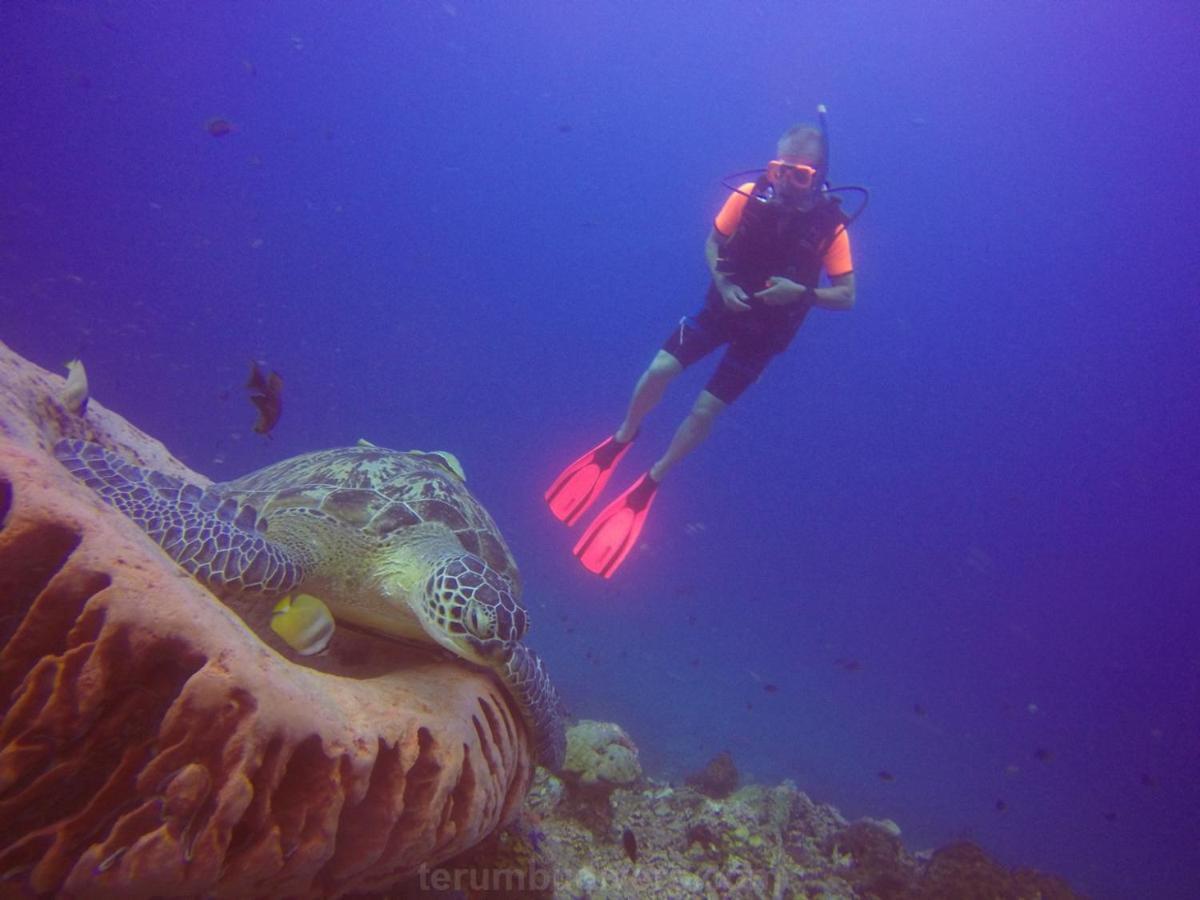 Anema Wellness & Resort Gili Lombok - Diving Center Padi Tanjung  Esterno foto